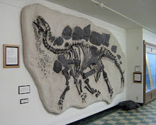 Load image into Gallery viewer, Stegosaurus skeleton dig panel