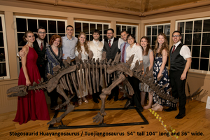 Stegosaurus skeleton cast replica #1