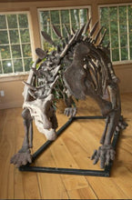 Cargar imagen en el visor de la galería, Stegosaurus skeleton cast replica #1