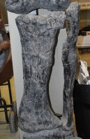 Camarasaurus leg cast replica