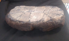 Load image into Gallery viewer, Tarbosaurus egg cast replica. Asian T.rex Dinosaur egg cast reproduction