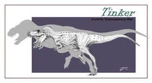 Cargar imagen en el visor de la galería, Tinker the T.rex skull cast replica