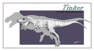 Tinker the T.rex skull cast replica