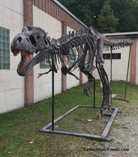 Cargar imagen en el visor de la galería, Tinker the T.rex skull cast replica