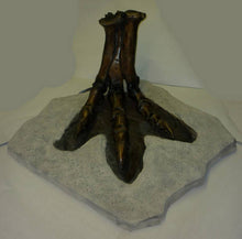 Laden Sie das Bild in den Galerie-Viewer, Tyrannosaurus Rex SET T.rex foot and footprint track cast replica T-rex