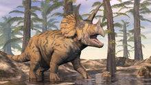 Laden Sie das Bild in den Galerie-Viewer, Triceratops Nose Horn 15&quot; Cast replica #1