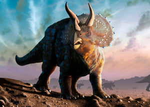 Triceratops Nose Horn 15" Cast replica #2***