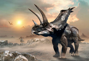 Triceratops Frill with skin impression cast replica