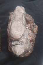 Load image into Gallery viewer, Velociraptor egg nest Dinosaur fossil egg cast for sale Replica Dinosaur Reproductions
