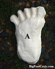 Charger l&#39;image dans la galerie, 1984 Paul Freeman&#39;s &quot;Wrinkle Foot&quot; cast  &quot;A&quot; Bigfoot Sasquatch footprint track cast replicas