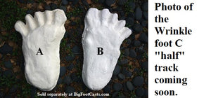 1984 Paul Freeman's "Wrinkle Foot" cast  "C" half track Bigfoot Sasquatch footprint track cast replicas