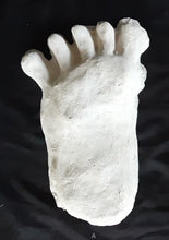 Charger l&#39;image dans la galerie, 1984 Paul Freeman&#39;s &quot;Wrinkle Foot&quot; cast  &quot;A&quot; Bigfoot Sasquatch footprint track cast replicas