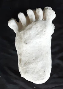 1984 Paul Freeman's "Wrinkle Foot" cast  "A"