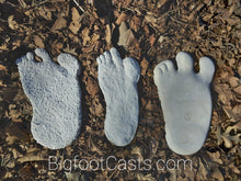 Charger l&#39;image dans la galerie, 1951 Yeti #3 Bigfoot cast footprint track replica