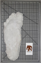 Load image into Gallery viewer, 2008 Bigfoot print cast from Yosemite National Park 2008 Yosemite Bigfoot cast replica